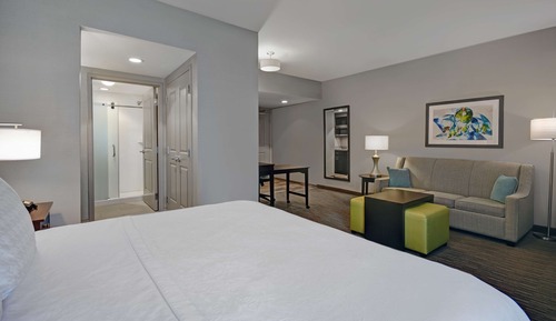 Suite, 1 cama de matrimonio grande, accesible para personas con discapacidad (Roll-in Shower)