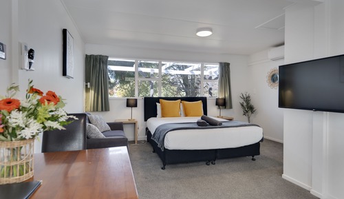 Estudio Premium, 1 cama de matrimonio grande (Studio)