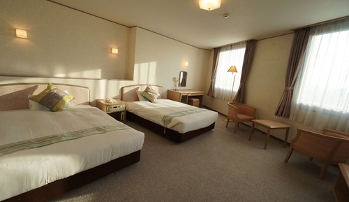 Habitación Deluxe con 2 camas individuales, no fumadores (36m²)