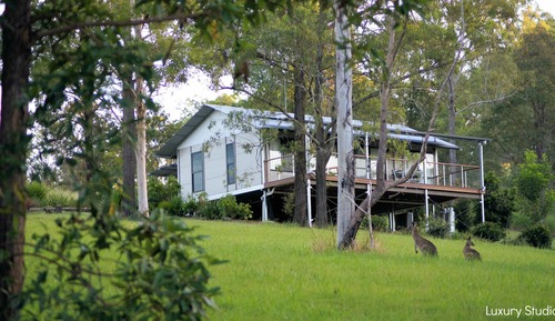 Luxury Studio, Non Smoking, Kitchen