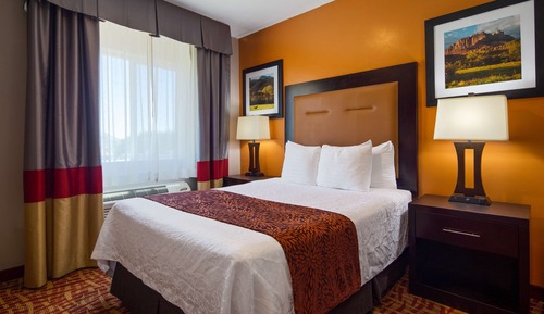 Habitación estándar, 1 cama de matrimonio, accesible para personas con discapacidad (Walk-in Shower)