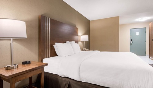 Habitación estándar, 1 cama de matrimonio grande, no fumadores (Shower)