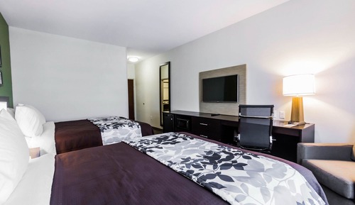 Habitación, 2 camas de matrimonio, accesible para personas con discapacidad, no fumadores