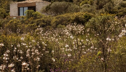 Suite, bañera de hidromasaje