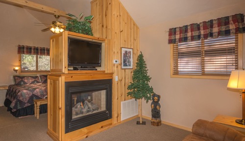 Cabin with Gas Fireplace - Cabin 301