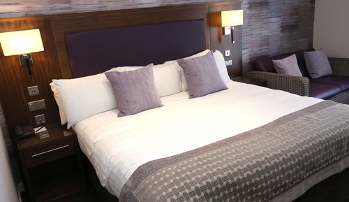 Habitación estándar, 1 cama de matrimonio grande, no fumadores (Sofa Bed)