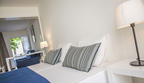 Habitación clásica con 1 cama doble o 2 individuales