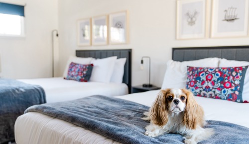 Habitación estándar, 2 camas de matrimonio