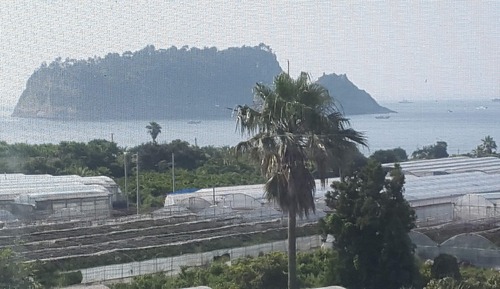 Habitación con 2 camas individuales