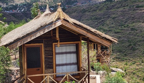 Casa panorámica en un árbol
