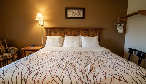 Habitación estándar, 1 cama de matrimonio grande (Dog Friendly)