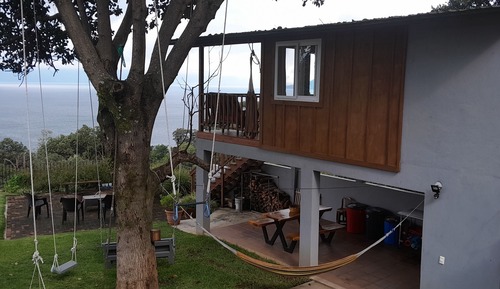 Casa Conforten un árbol