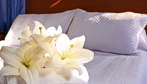 Habitación Business doble