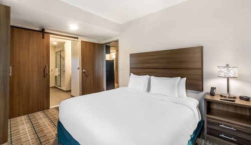 Suite básica, 1 cama de matrimonio grande con sofá cama, no fumadores (Roll-In Shower)