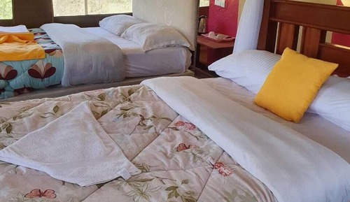 Habitación individual básica