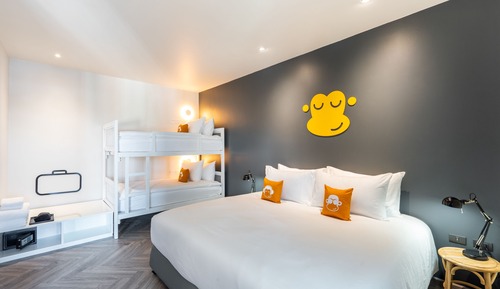 Suite estudio familiar