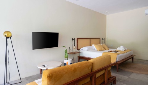 Suite estudio Signature