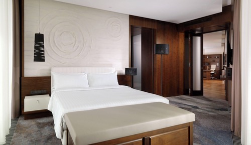 Suite de lujo, 1 habitación
