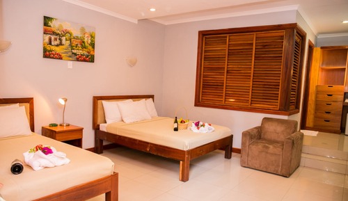 Habitación Deluxe con 2 camas individuales