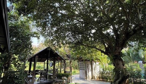 Habitación individual estándar