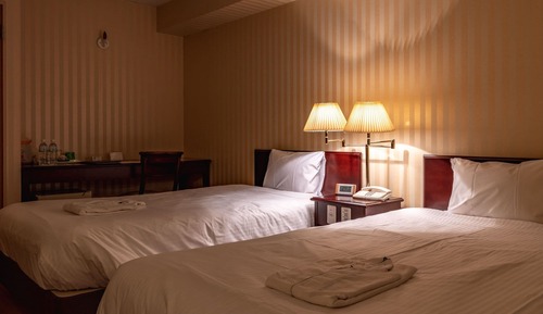 Habitación Deluxe con 2 camas individuales