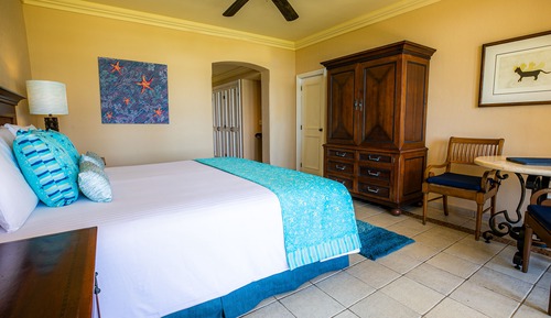 Habitación Deluxe, 1 cama de matrimonio grande, vistas al jardín