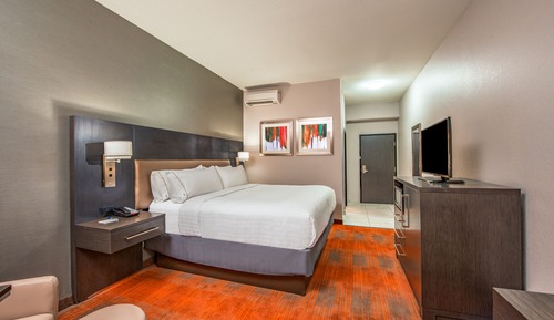 Habitación estándar, 1 cama de matrimonio grande (Communications, Roll-In Shower)