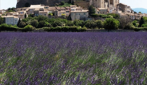 Habitación básica, 1 cama doble, vistas a la ciudad