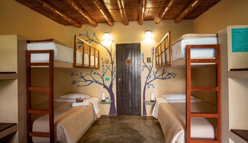 Habitación cuádruple familiar