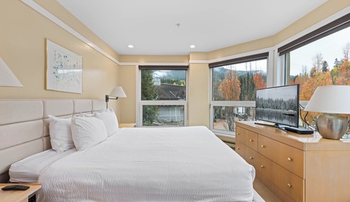 Suite Signature, 1 cama de matrimonio grande con sofá cama (# 205)