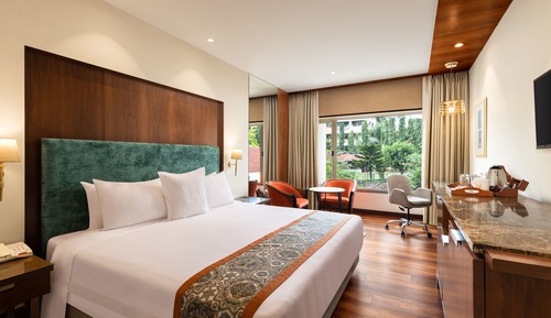 Habitación Deluxe, 1 cama de matrimonio grande (Deluxe Room Double)