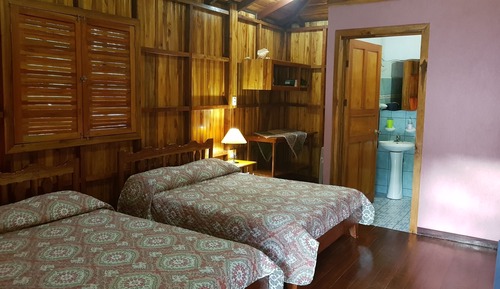 Habitación estándar, vistas al jardín