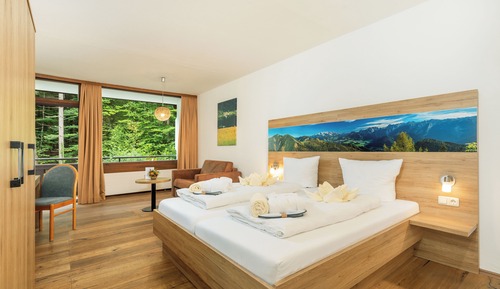 Habitación estándar doble, 1 cama de matrimonio grande, no fumadores, vistas al jardín