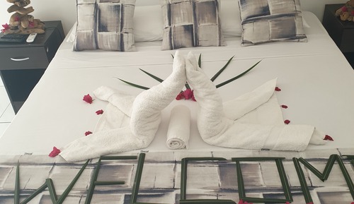 Habitación con 1 cama doble o 2 individuales