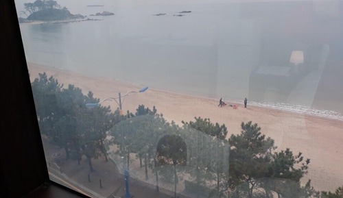 VIP Room, Ocean View