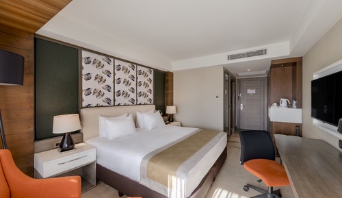 Habitación Premium, 1 cama de matrimonio grande, fumadores