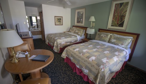 Habitación clásica doble, planta baja