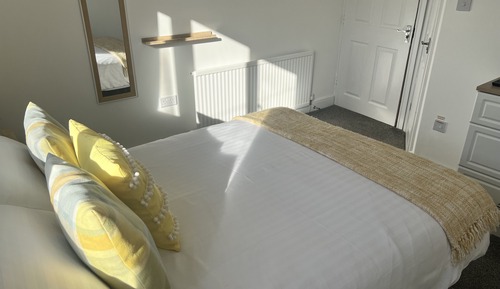 Habitación doble, 1 cama doble