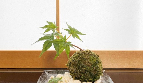 Habitación con 2 camas individuales, baño privado (304)