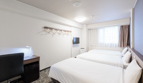 Habitación triple económica, 3 camas individuales (Smoking Preference can't be requested)