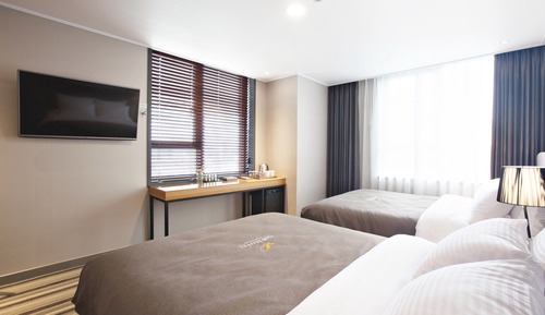 Habitación Deluxe con 2 camas individuales