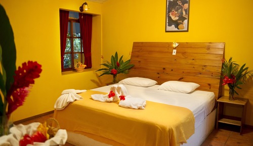 Habitación clásica doble, 1 cama de matrimonio grande