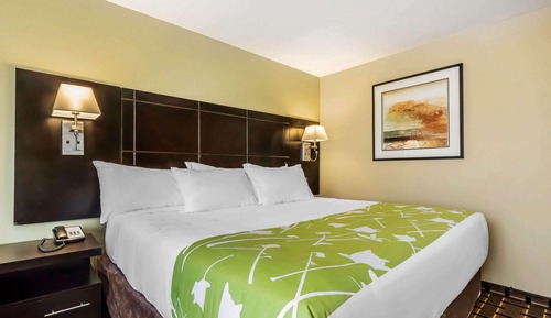 Habitación estándar, 1 cama de matrimonio grande, no fumadores