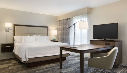 Suite, 1 cama de matrimonio grande, accesible para personas con discapacidad (Roll In Shower)