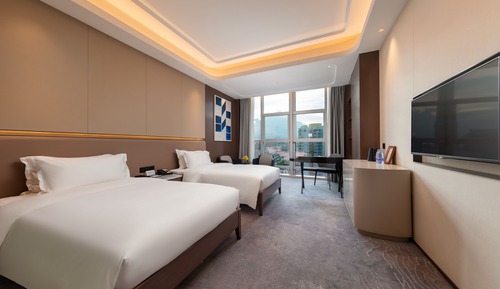 Habitación ejecutiva con 2 camas individuales