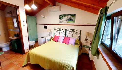 Habitación Confort, 1 habitación, baño privado, vistas al jardín