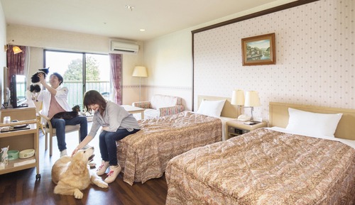 Habitación estándar con 2 camas individuales, no fumadores