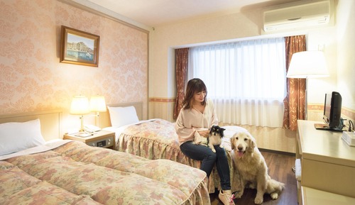 Habitación, no fumadores (Maisonette)