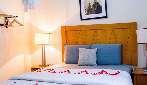 Habitación Premier, 1 cama de matrimonio