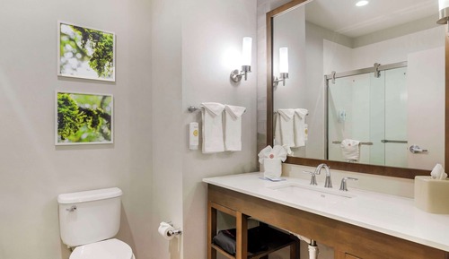 Suite, varias camas, no fumadores